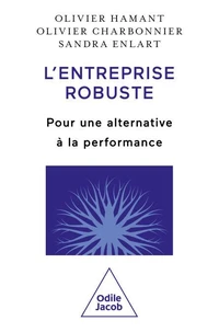 L'entreprise robuste