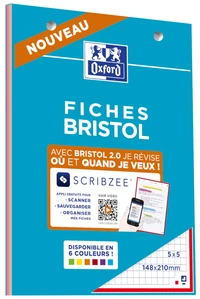 Bloc bristol oxford 148x210 30 fiches perforees q5/5+tag assorti