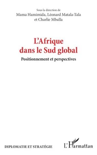 L’Afrique dans le Sud global