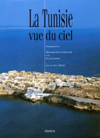 La Tunisie Vue Du Ciel
