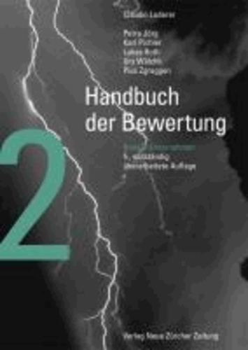 Handbuch der Bewertung 2: Unternehmen.