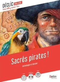 Sacrés pirates !