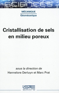 Hannelore Derluyn et Marc Prat - Cristallisation de sels en milieux poreux.