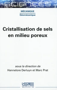 Cristallisation de sels en milieux poreux