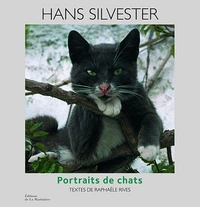 Portraits de chats