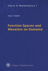 Hans Triebel - Function Spaces and Wavelets on Domains.