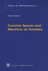 Function Spaces and Wavelets on Domains