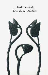 Karl Blossfeldt