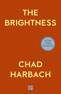 The Brightness