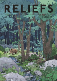 Pierre Fahys - Reliefs N° : Forêts.