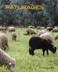 Pâturages