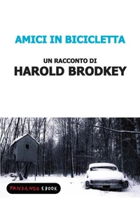 Amici in bicicletta