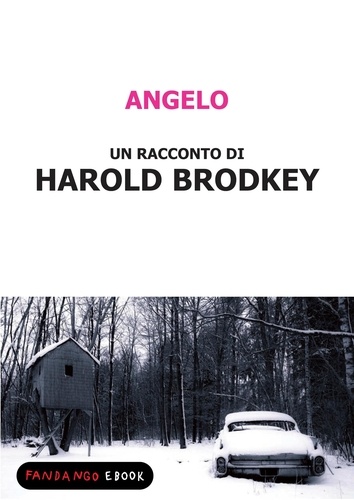 Harold Brodkey - Angelo.