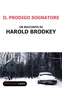 Il prodigo sognatore