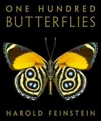 Harold Feinstein - Harold Feinstein One Hundred Butterflies /anglais.