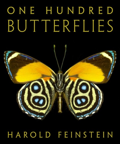 Harold Feinstein One Hundred Butterflies /anglais