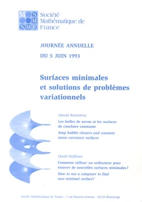Surfaces minimales et solutions de problèmes variationnels