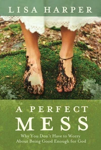 A Perfect Mess