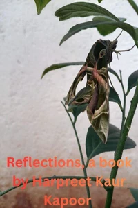 Reflections - a book