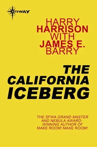The California Iceberg