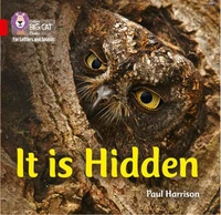 It is Hidden