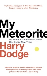 Harry Dodge - My Meteorite - Or, Without The Random There Can Be No New Thing.