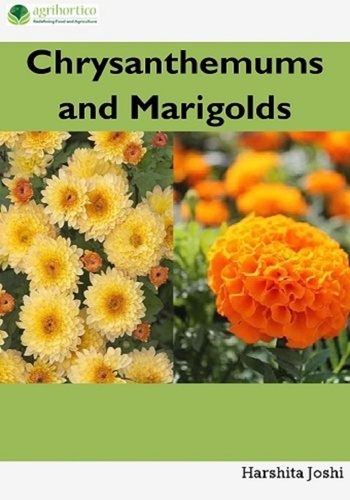  Harshita Joshi - Chrysanthemum and Marigold.