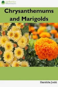 Chrysanthemums and Marigolds