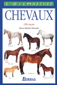 Chevaux. 150 Races