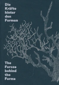 Die Kräfte hinter den Formen