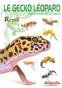 Le gecko léopard