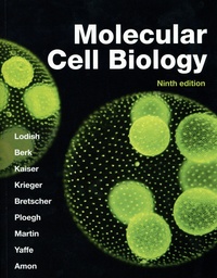 Harvey Lodish et Arnold Berk - Molecular Cell Biology.