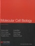 Harvey Lodish - Molecular Cell Biology.