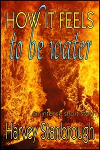  Harvey Stanbrough - How It Feels to Be Water.