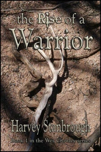 The Rise of a Warrior