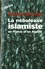 La Nébuleuse islamiste en France et en Algérie