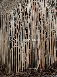Doris Salcedo