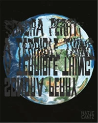 Sondra Perry : A Terrible Thing