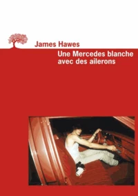 Une Mercedes Blanche Avec Des Ailerons