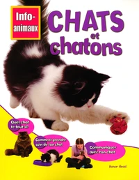 Chats et chatons