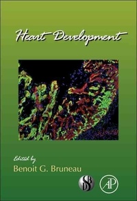 Heart Development.