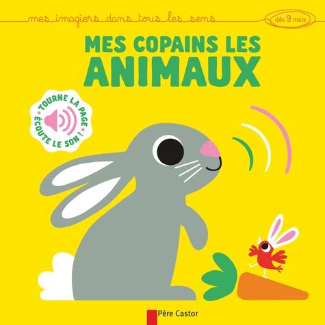 Hector Dexet - Mes copains les animaux.