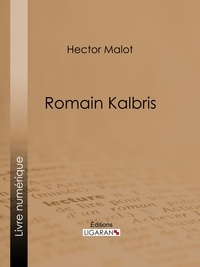 Hector Malot et Emile Bayard - Romain Kalbris.