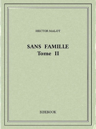 Sans famille II