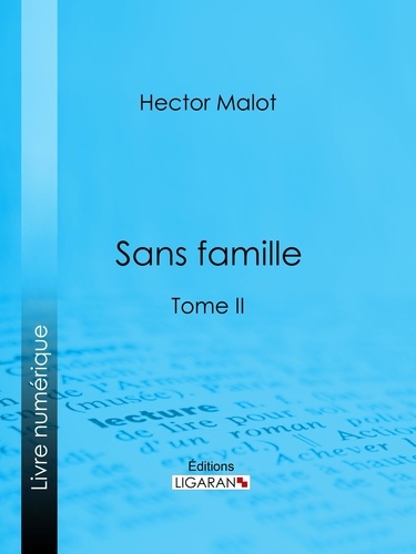  Hector Malot et  Ligaran - Sans famille - Tome II.