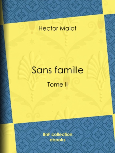 Sans famille. Tome II