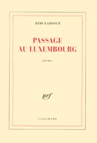 Passage Au Luxembourg