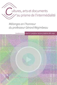 Cultures, arts et documents au prisme de l'intermédialité