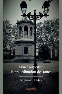 Synchronicity : la préordination des âmes