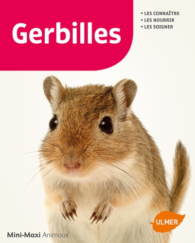 Gerbilles - Occasion